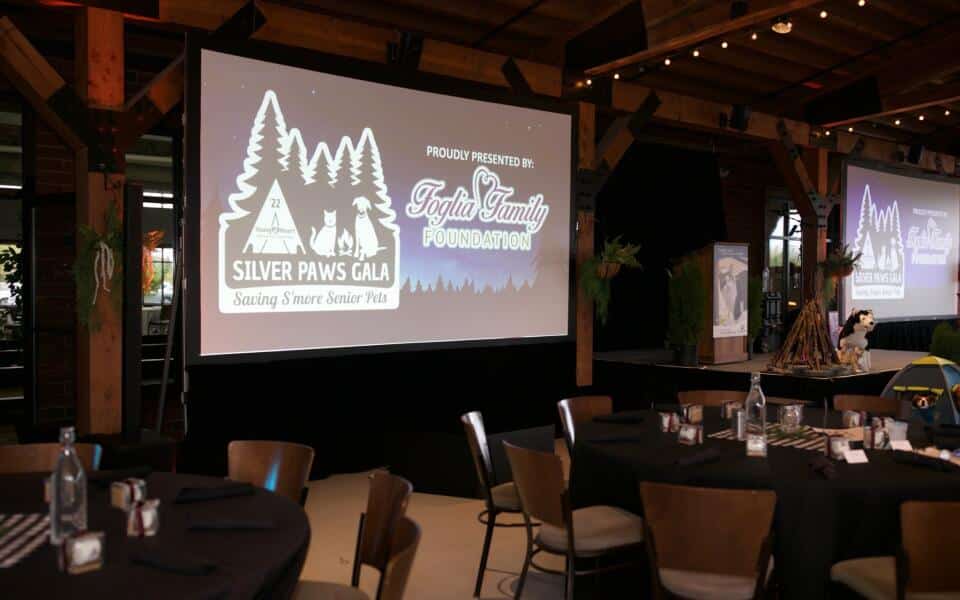 silver paws gala