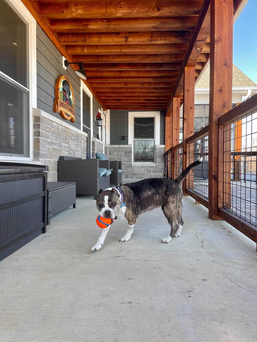 adoption center porch