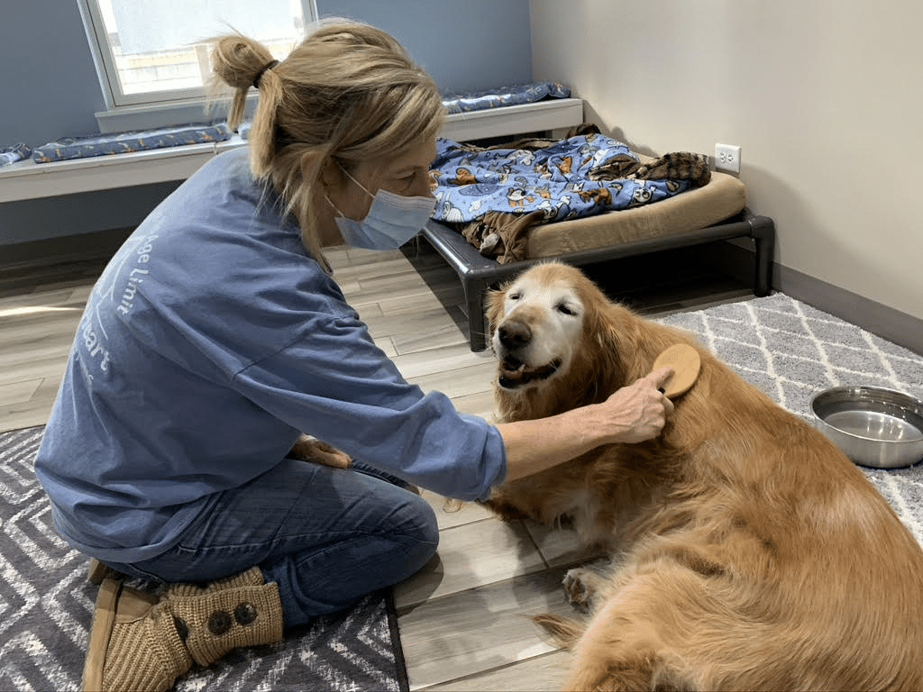 Young at Heart Senior Pet Rescue Volunteer Orientation